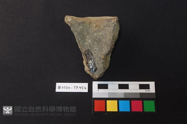 陶片藏品圖，第2張