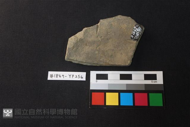陶片藏品圖，第2張