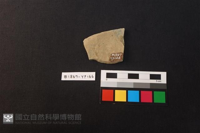陶片藏品圖，第2張