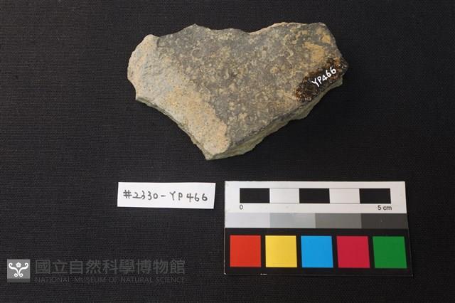 陶片藏品圖，第2張