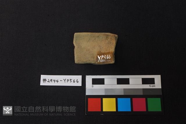 陶片藏品圖，第2張