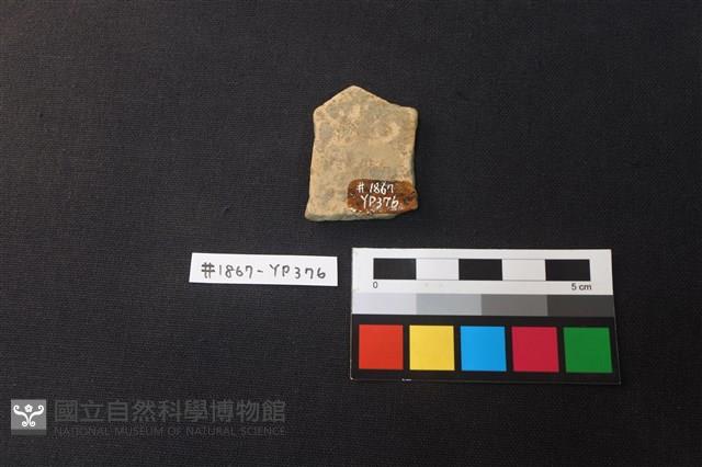 陶片藏品圖，第2張