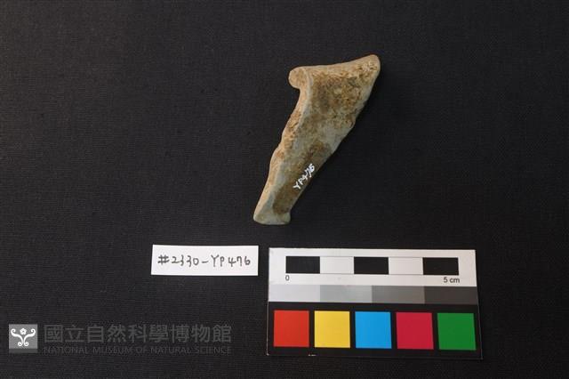 陶片藏品圖，第2張