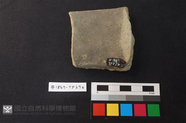陶片藏品圖，第2張