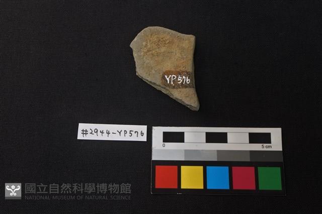 陶片藏品圖，第2張