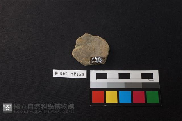 陶片藏品圖，第2張