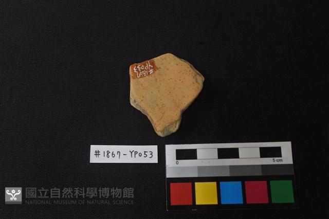陶片藏品圖，第2張