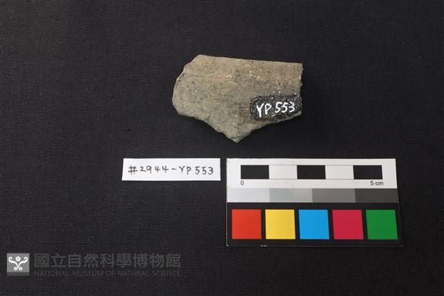 陶片藏品圖，第2張