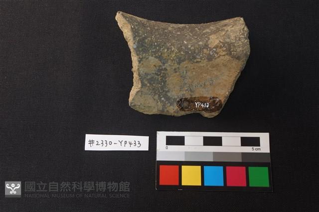 陶片藏品圖，第2張