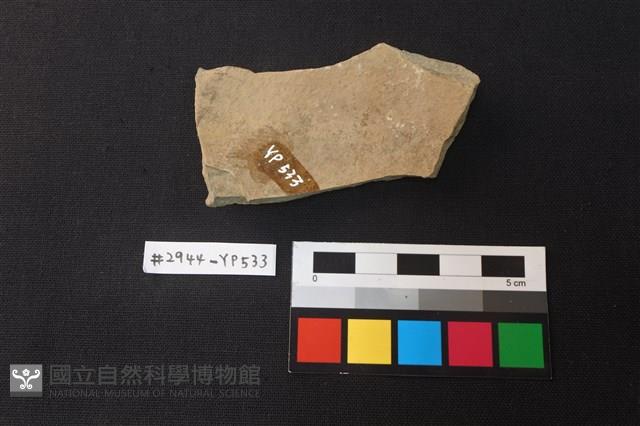 陶片藏品圖，第2張