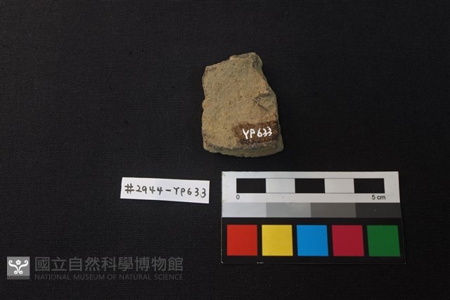 陶片藏品圖，第2張