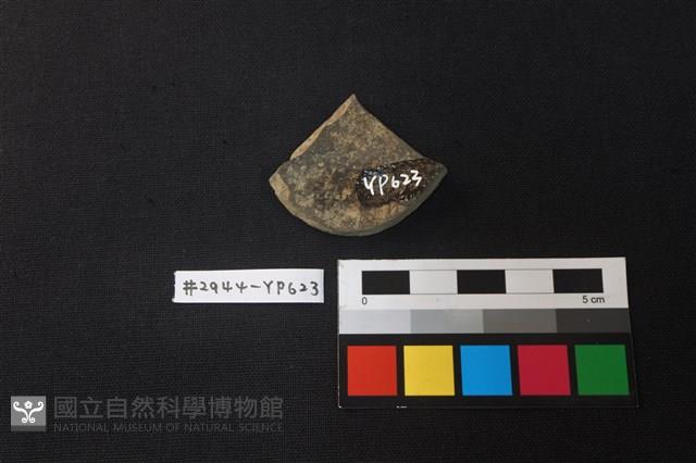 陶片藏品圖，第2張