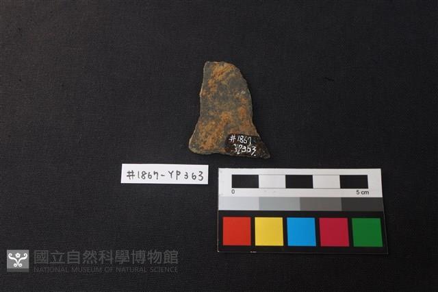 陶片藏品圖，第2張