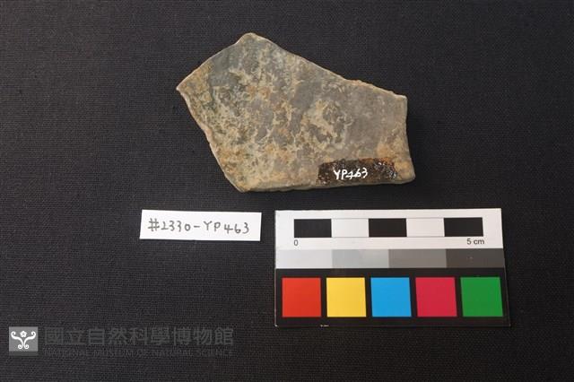 陶片藏品圖，第2張