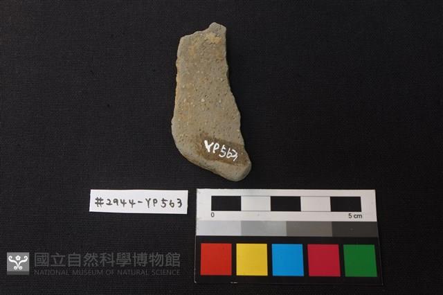 陶片藏品圖，第2張