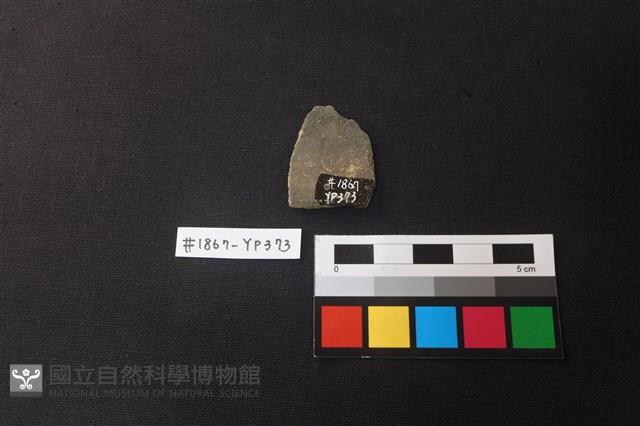 陶片藏品圖，第2張