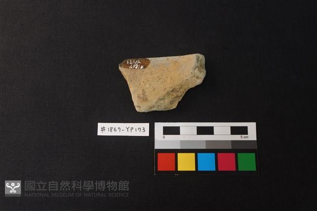 陶片藏品圖，第2張