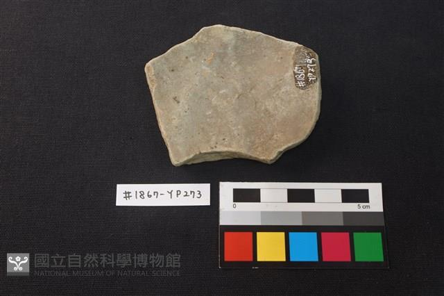 陶片藏品圖，第2張