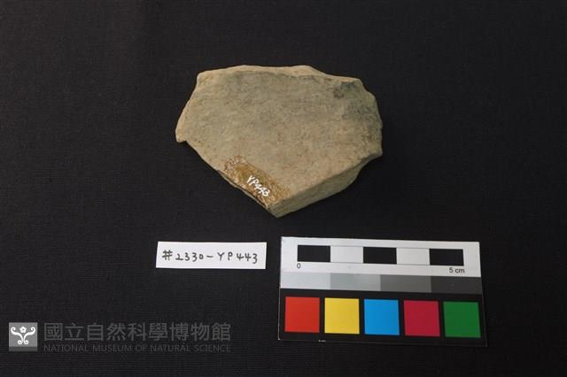 陶片藏品圖，第2張