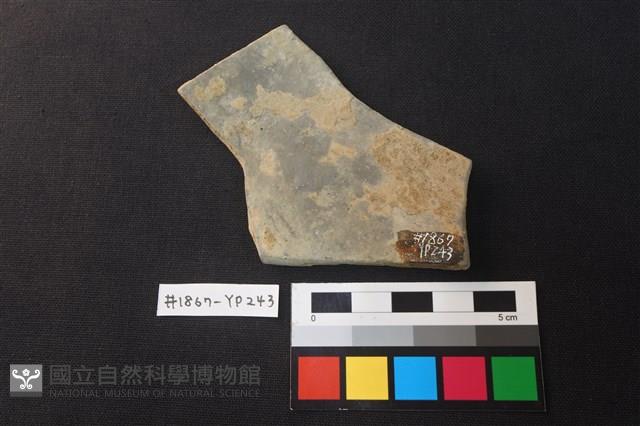 陶片藏品圖，第2張