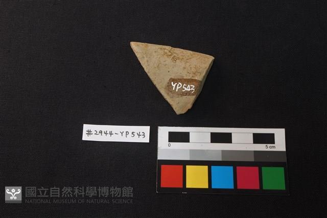 陶片藏品圖，第2張