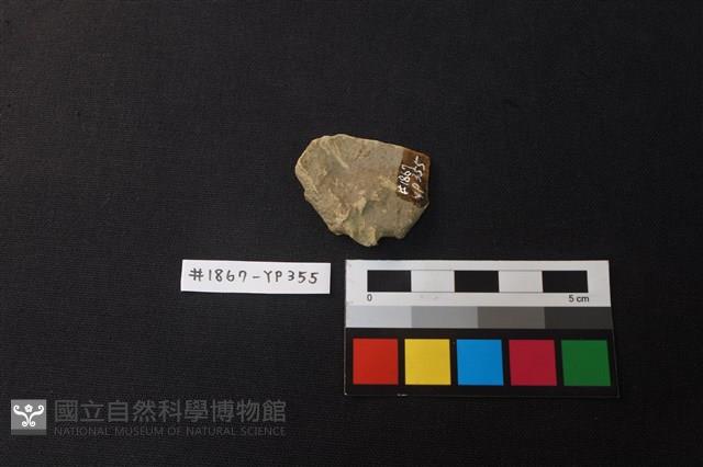 陶片藏品圖，第2張