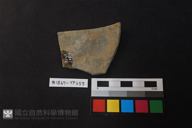 陶片藏品圖，第2張