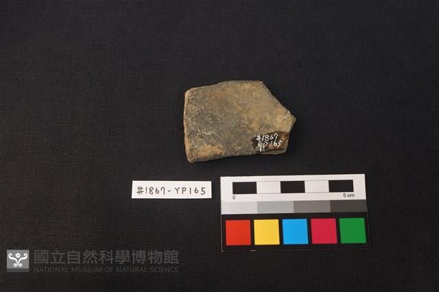 陶片藏品圖，第2張