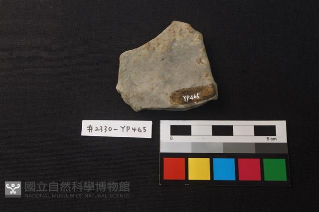 陶片藏品圖，第2張