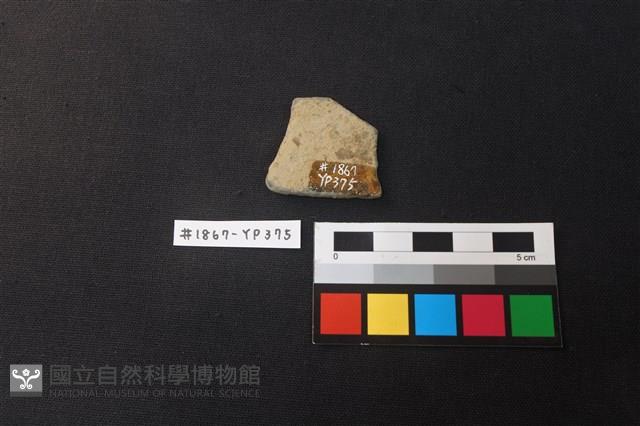陶片藏品圖，第2張