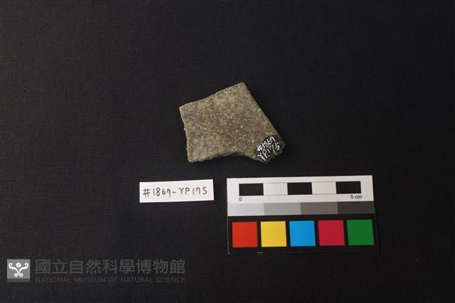 陶片藏品圖，第2張