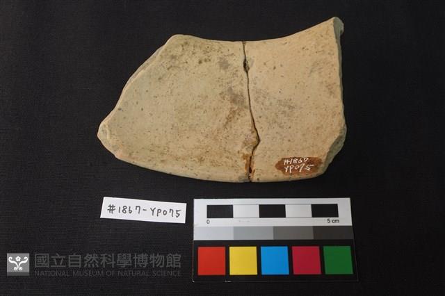 陶片藏品圖，第2張