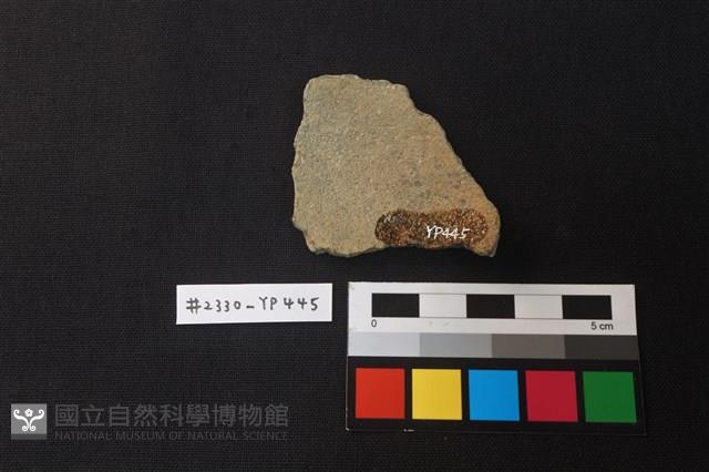 陶片藏品圖，第2張