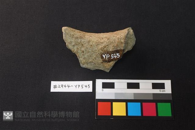 陶片藏品圖，第2張