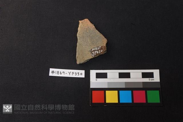 陶片藏品圖，第2張