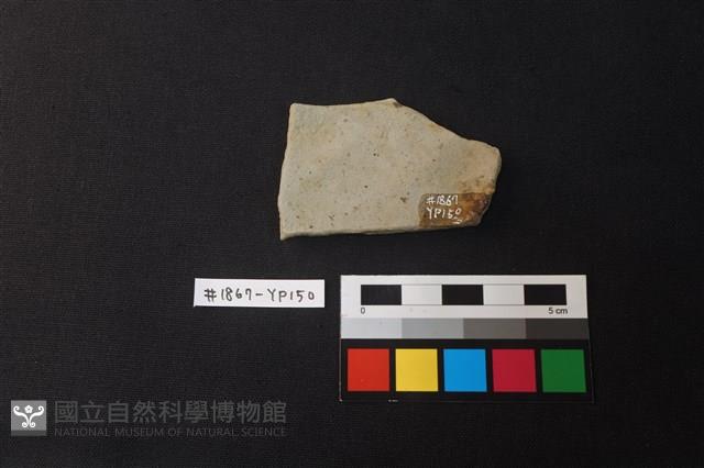 陶片藏品圖，第2張