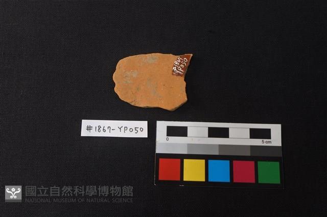 陶片藏品圖，第2張