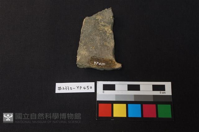 陶片藏品圖，第2張