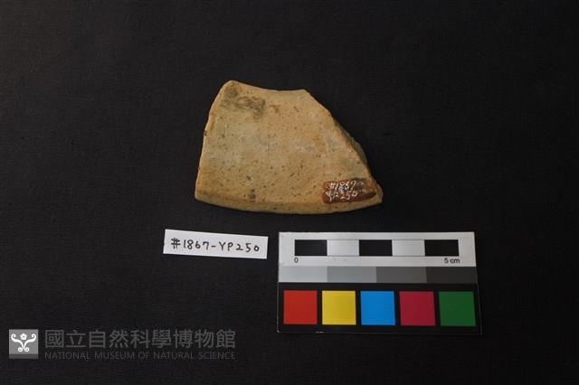 陶片藏品圖，第2張