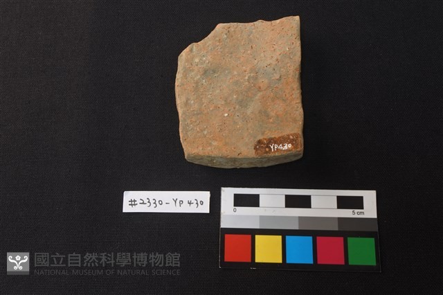 陶片藏品圖，第2張