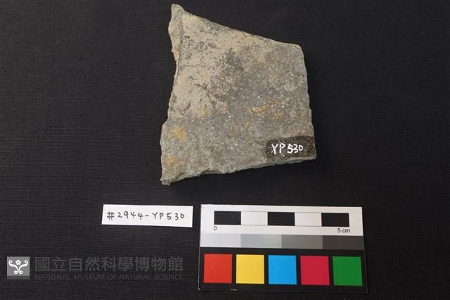 陶片藏品圖，第2張