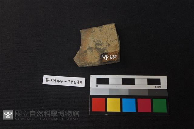 陶片藏品圖，第2張