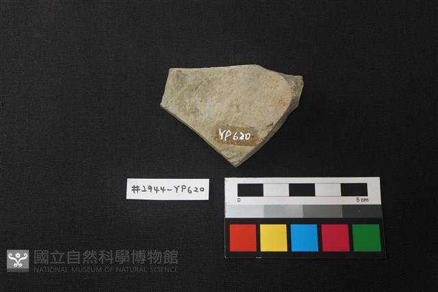 陶片藏品圖，第2張