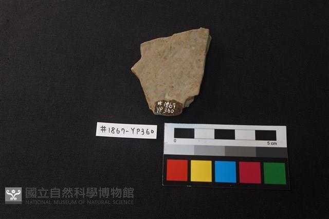 陶片藏品圖，第2張