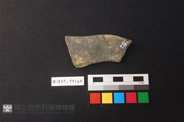 陶片藏品圖，第2張