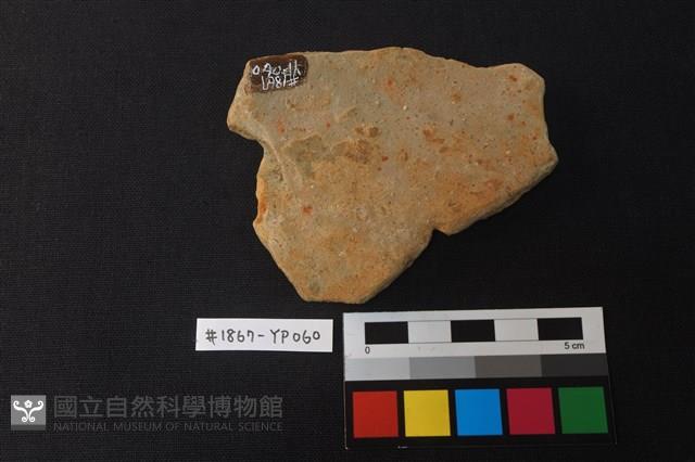 陶片藏品圖，第2張