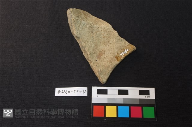 陶片藏品圖，第2張