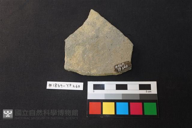陶片藏品圖，第2張