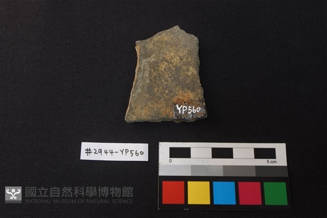 陶片藏品圖，第2張