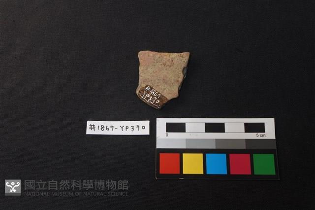 陶片藏品圖，第2張